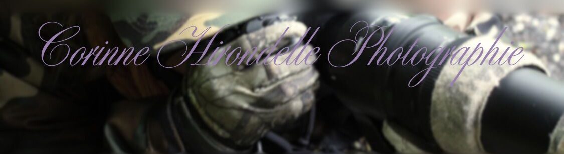 Corinne Hirondelle Photographie